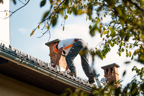 Best Commercial Roofing Services  in Burbank, IL