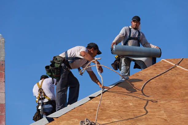 Best Roof Leak Repair  in Burbank, IL