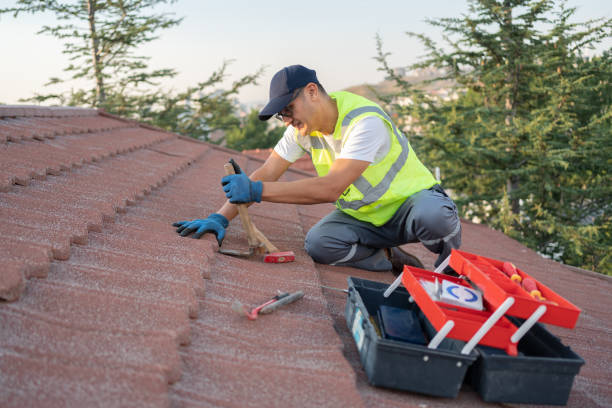Roof Waterproofing Services in Burbank, IL