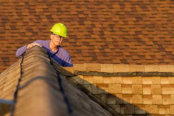 Best Commercial Roofing Services  in Burbank, IL