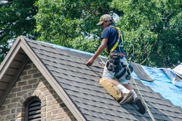 Best New Roof Installation  in Burbank, IL